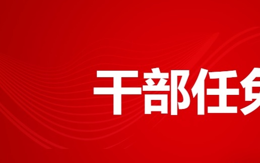 酒泉市干部任免信息更新,科技赋能,智慧引领新时代