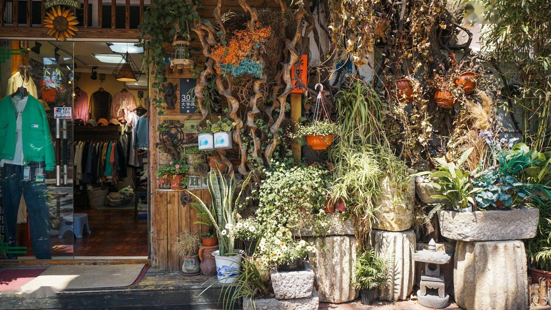 内地演员与小巷中的隐藏瑰宝,一家特色小店的奇遇