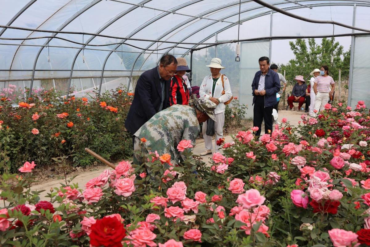 最新财富分布,一场探索自然美景的轻松旅行