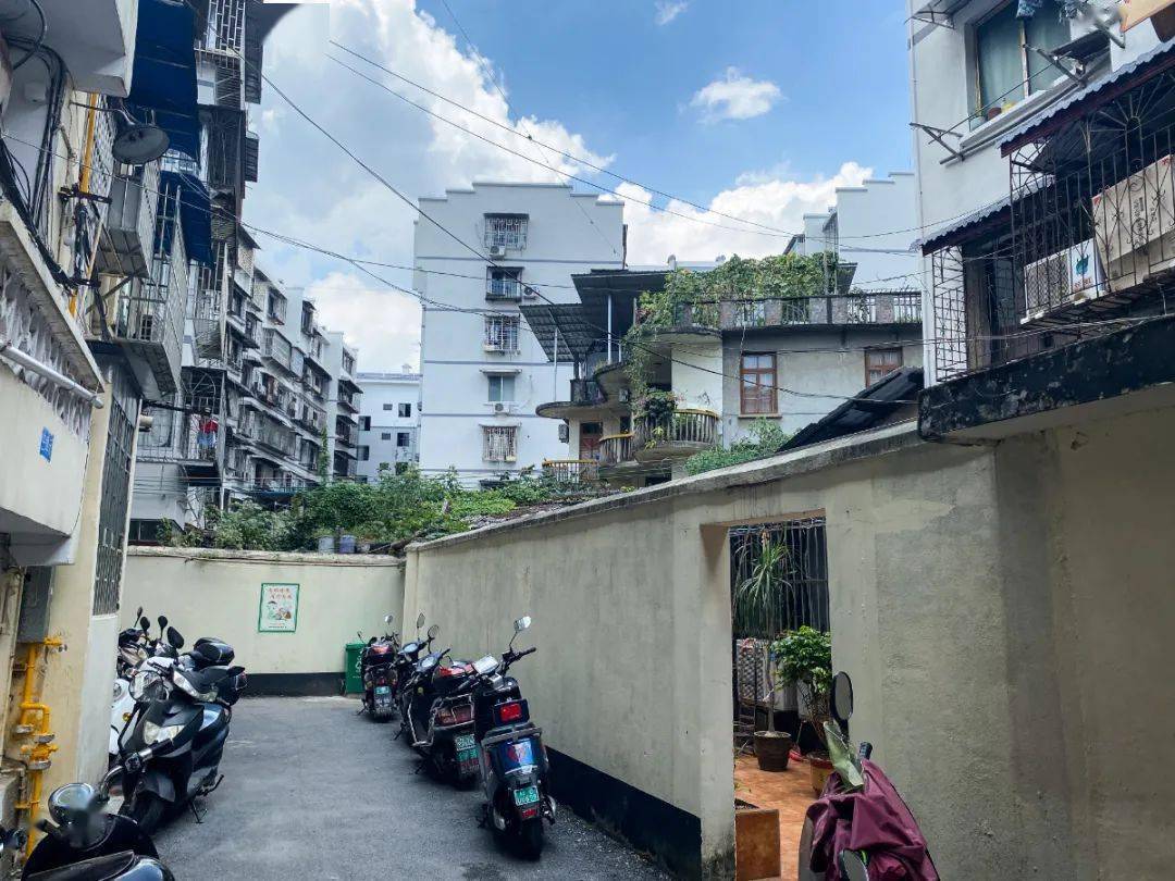 三版十元最新行情,小巷中的宝藏小店