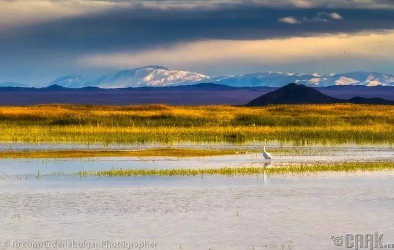 反转演员表,一场自然美景的心灵之旅