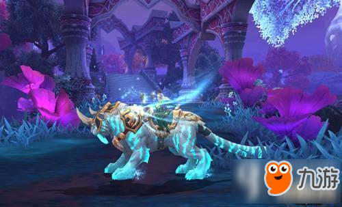 大王术士新篇,变化中的自信与成就之光