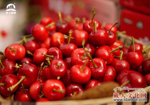 樱桃新品上市,时代的味蕾之宠