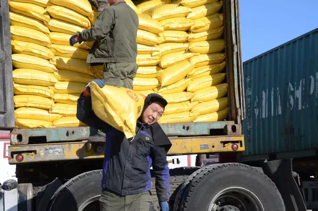 全国磷酸一铵价格行情