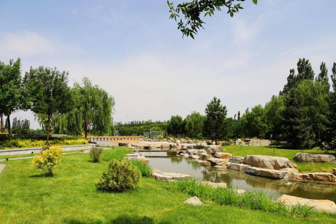 蝉动态,一场自然之旅的心灵探寻