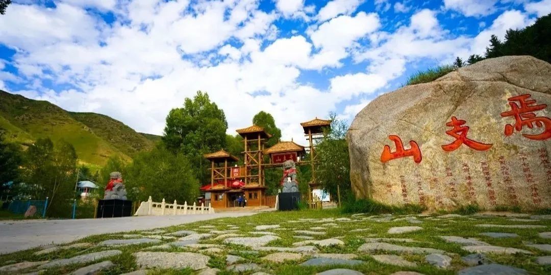 蝉动态,一场自然之旅的心灵探寻