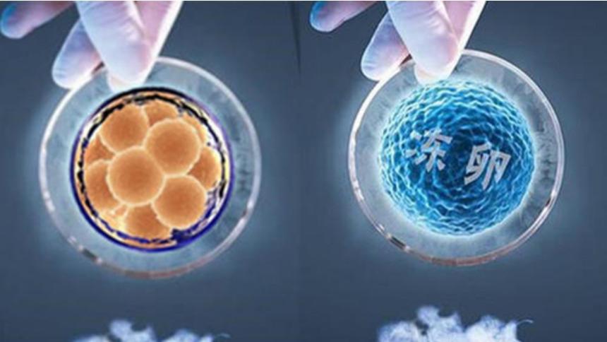 明星冻卵,步骤指南与须知