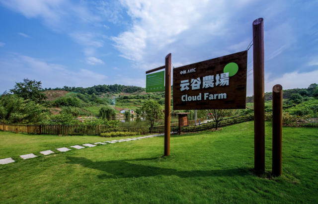 鹏欣资源重组最新消息,一场心灵与自然的完美融合之旅