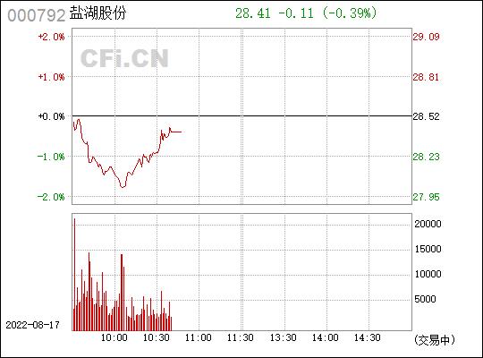 盐湖股票行情与我们的奇妙日常