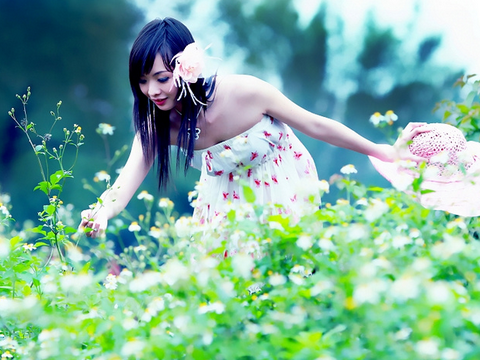 阿莎莉娅最新星座运势解析,自然美景之旅与内心的宁静