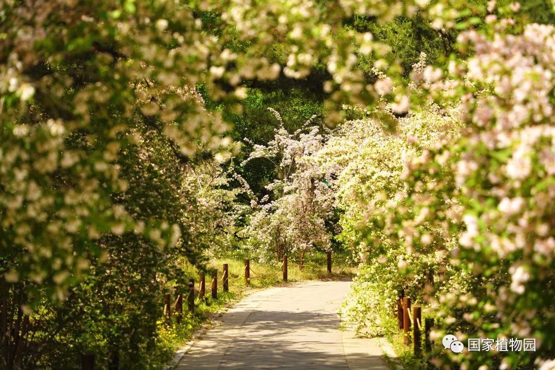 萧齐艳事最新,一场与自然美景的浪漫邂逅