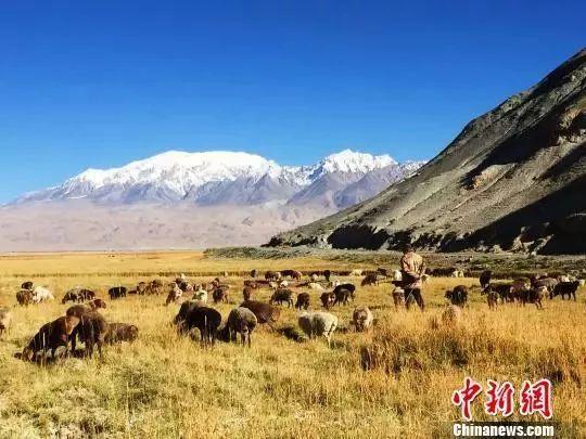 液晶电视价格,一场自然美景之旅的轻松启程