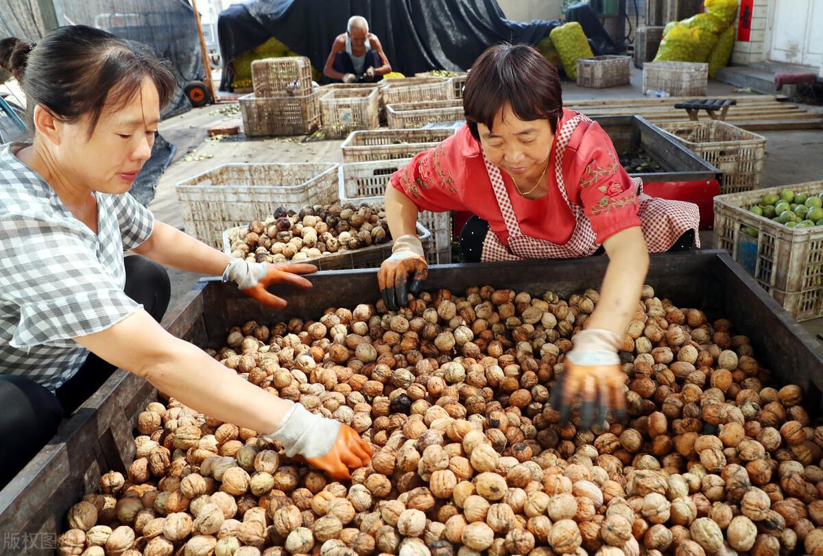 顺手牵羊 第2页