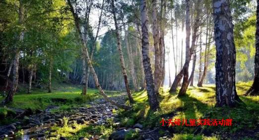 最新发泡剂价格,一场自然美景的心灵之旅