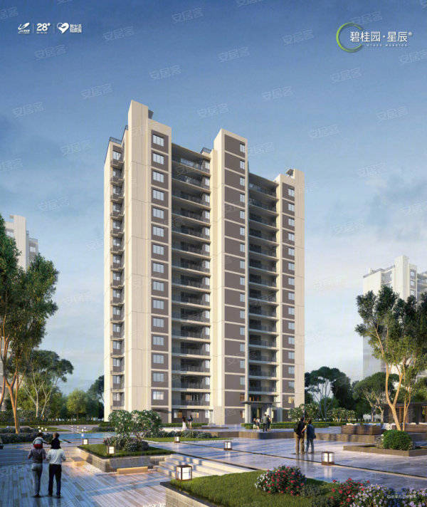 云木香价格行情深度解析