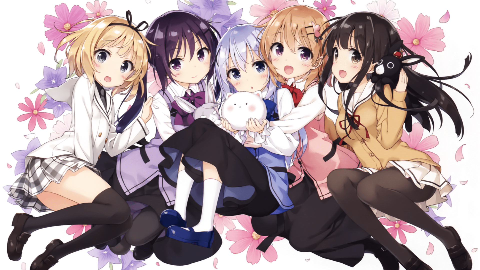 动漫兔,小巷中的秘密乐园