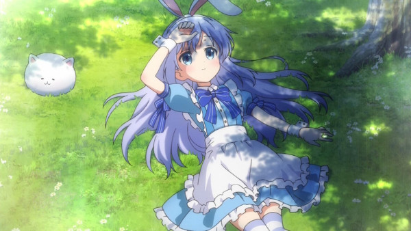 动漫兔,小巷中的秘密乐园