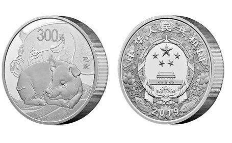 猪年纪念币现价,变化、学习与自信的力量