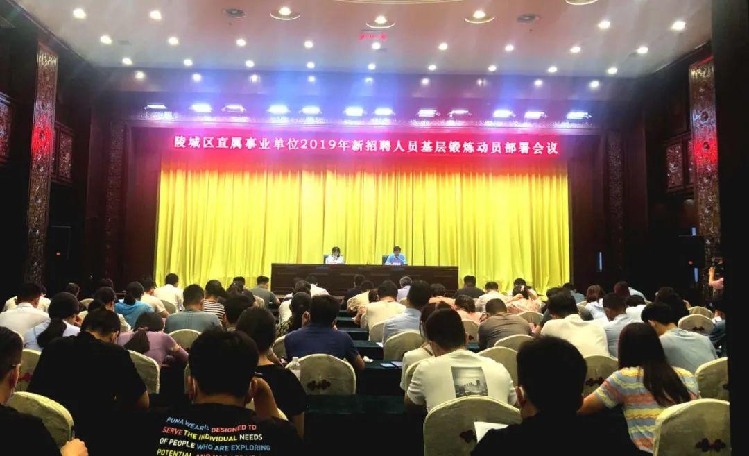 陵城招聘信息更新——科技引领,信息即时,开启智能招聘新时代