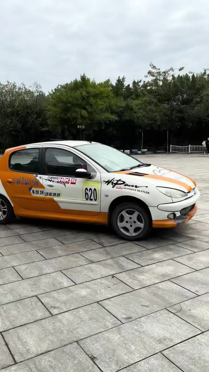 新兴县高铁最新动态,变化中的速度与激情,自信与成就感的旅程