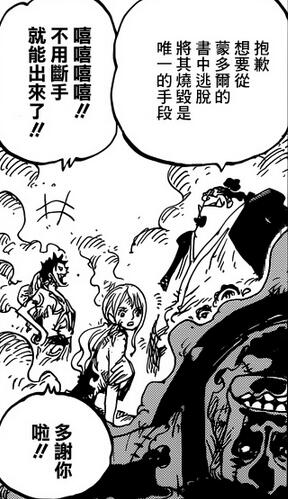 海贼王剧情852解析