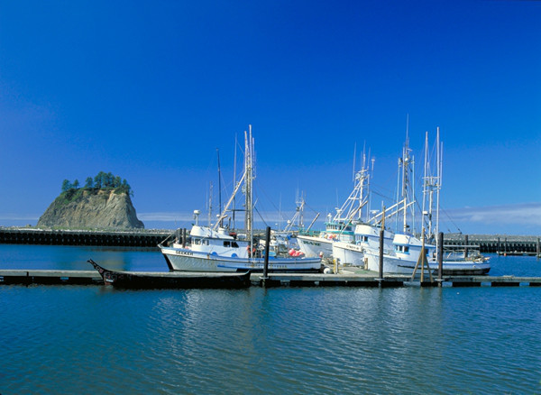 泰山东岳劳务动态,一场自然美景的探索之旅