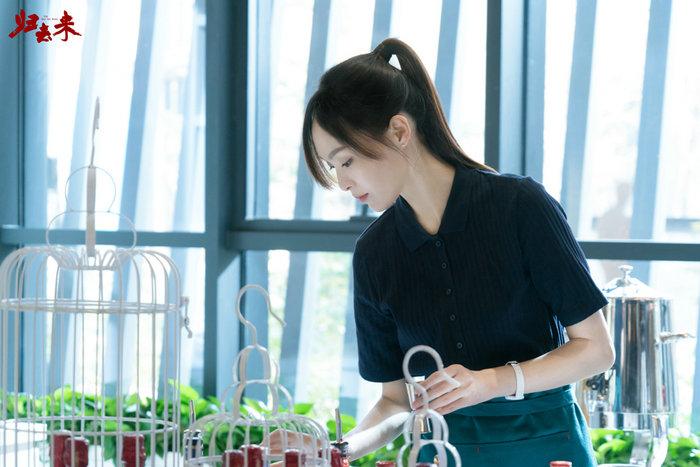 史可的电视剧日常,友情、家庭与爱的温暖交织