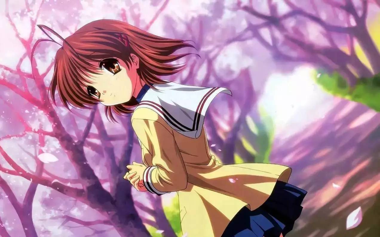 好看的动漫软件,一场心灵与自然的动漫之旅