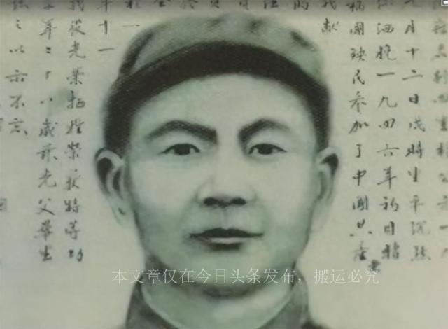 最新感人语录集,情感的真挚表达与共鸣