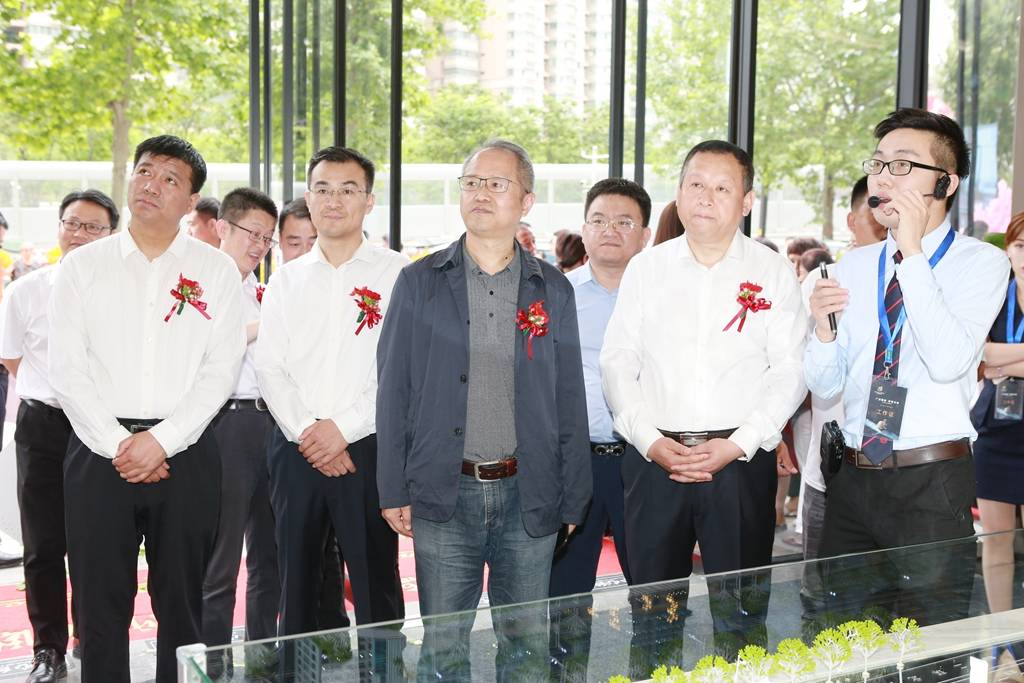 迎春花电视剧,绽放荧屏的经典之作