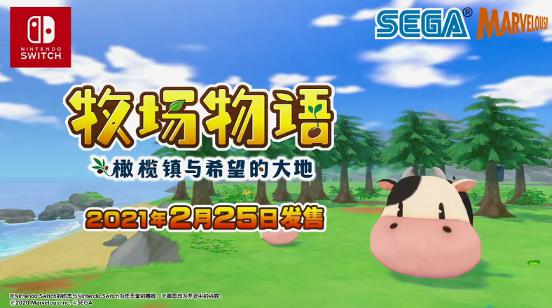 麦德姆资讯,一个温馨的日常故事