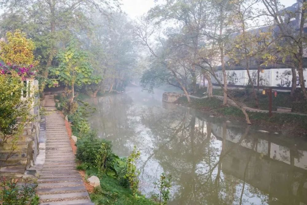 动漫电影在线观看,数字时代的影像艺术之旅