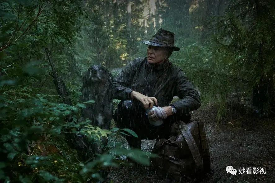 老猫的演员,一场自然美景的探险之旅