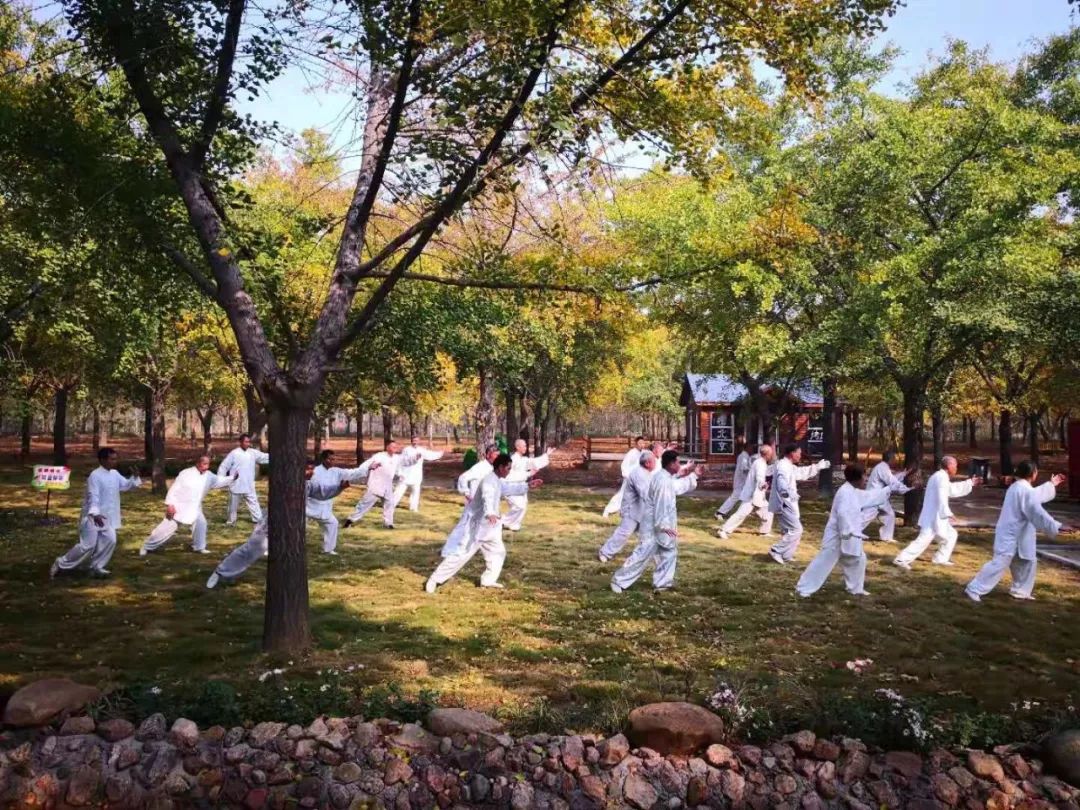 铁富郯城的最新动态