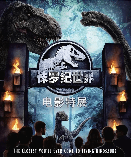 3D电影片源,探索未知的旅程,自信与成就感的源泉