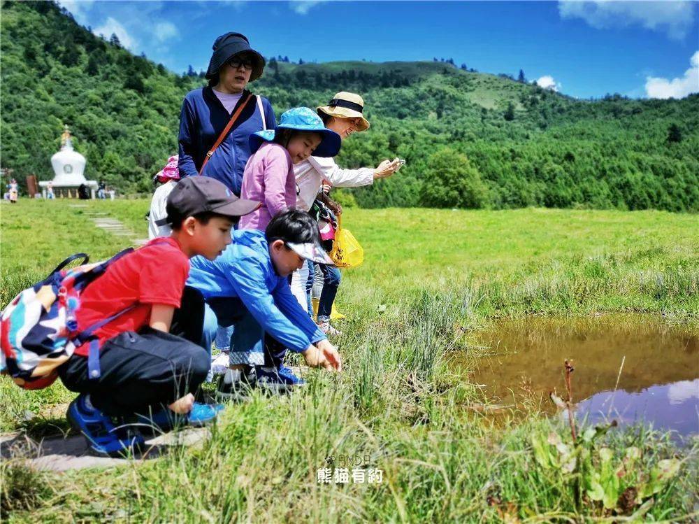 雅安机场最新动态,了解与使用指南