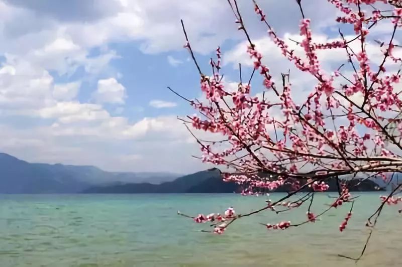 芮城招聘信息,启程自然之旅,寻找内心的桃花源