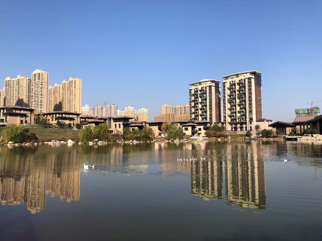 利海雁鸣湖动态更新