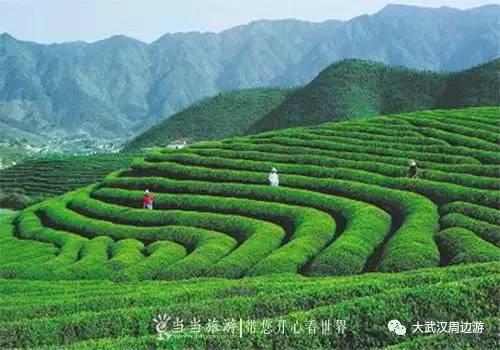 茶园新区悦地最新资讯,巷弄深处的独特风味