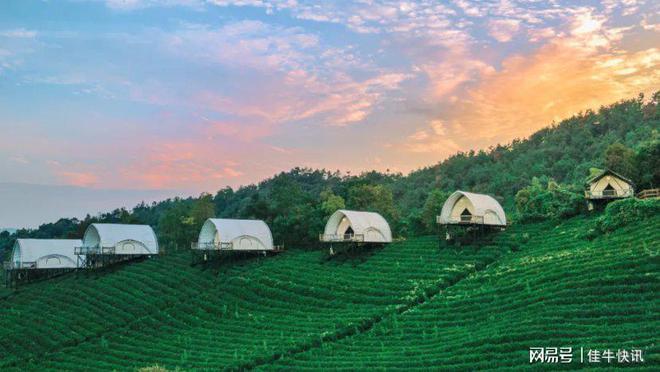 茶园新区悦地最新资讯,巷弄深处的独特风味