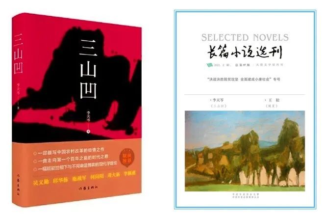 最新女性题材小说的多维度探讨