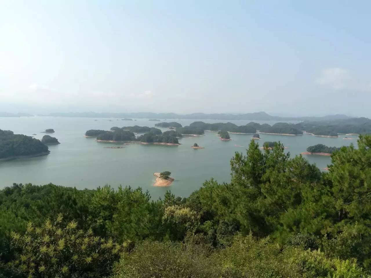 佐鸣新动态,一场自然美景的鼓舞之旅