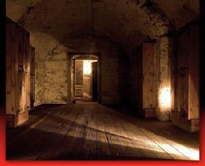 上海金价今日价格,小巷深处的黄金宝藏探秘