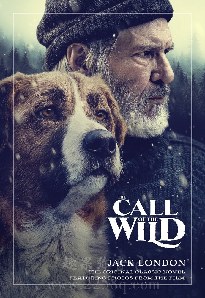 野性的呼唤电影,观看指南与技能提升步骤