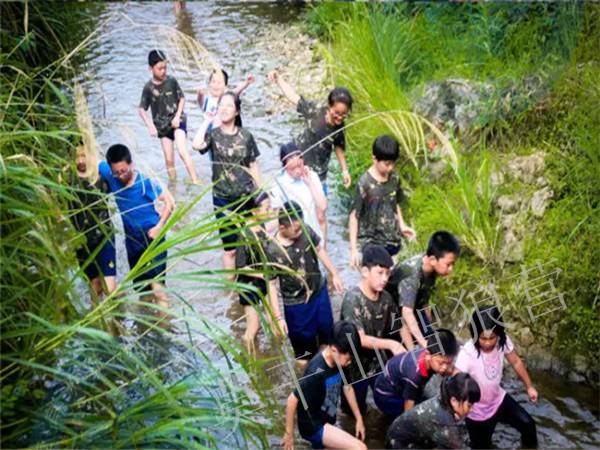 顾蔷薇与秦斯爵的探险之旅,最新篇章的宁静自然探索