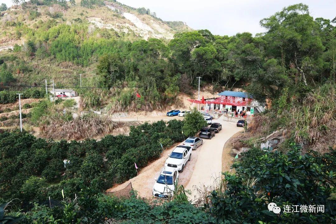 春兰整体上市的步骤指南(适用于初学者及进阶用户)