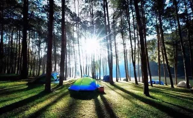 明星娱乐圈,一场自然美景的探险之旅