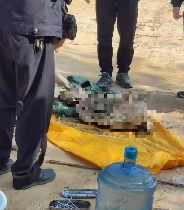 九江市修水县失联干部最新动态