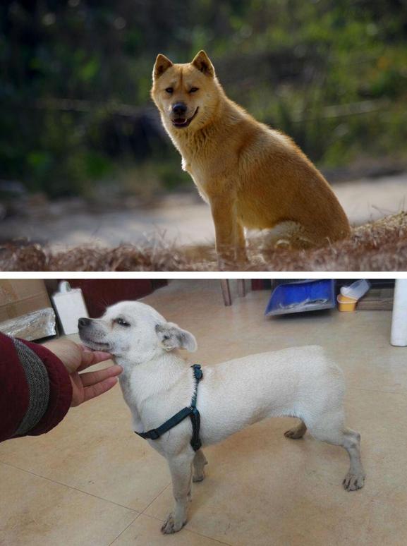 大连社保最新,小明的社保之旅与友情的温暖