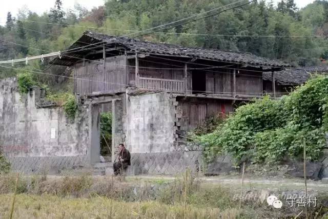 浦城最新肺炎之外,小巷深处的独特小店探索